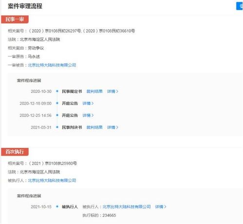 比特大陸關聯(lián)公司成被執(zhí)行人，執(zhí)行標的超23萬元涉及軟件開發(fā)